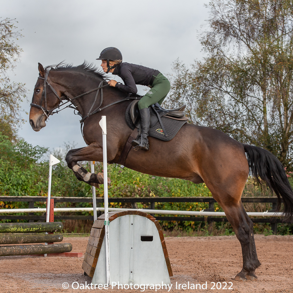 20220206 Spring JumpCross and Showjumping Clonshire Galleries www