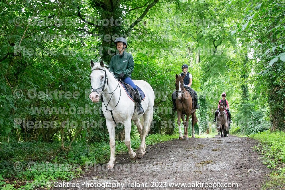 20230713 Clonshire morning sessions