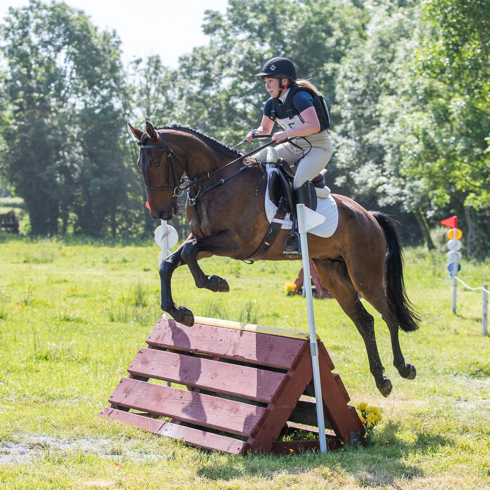 Ballycahane Equestrian 2 phase 27th April 2024